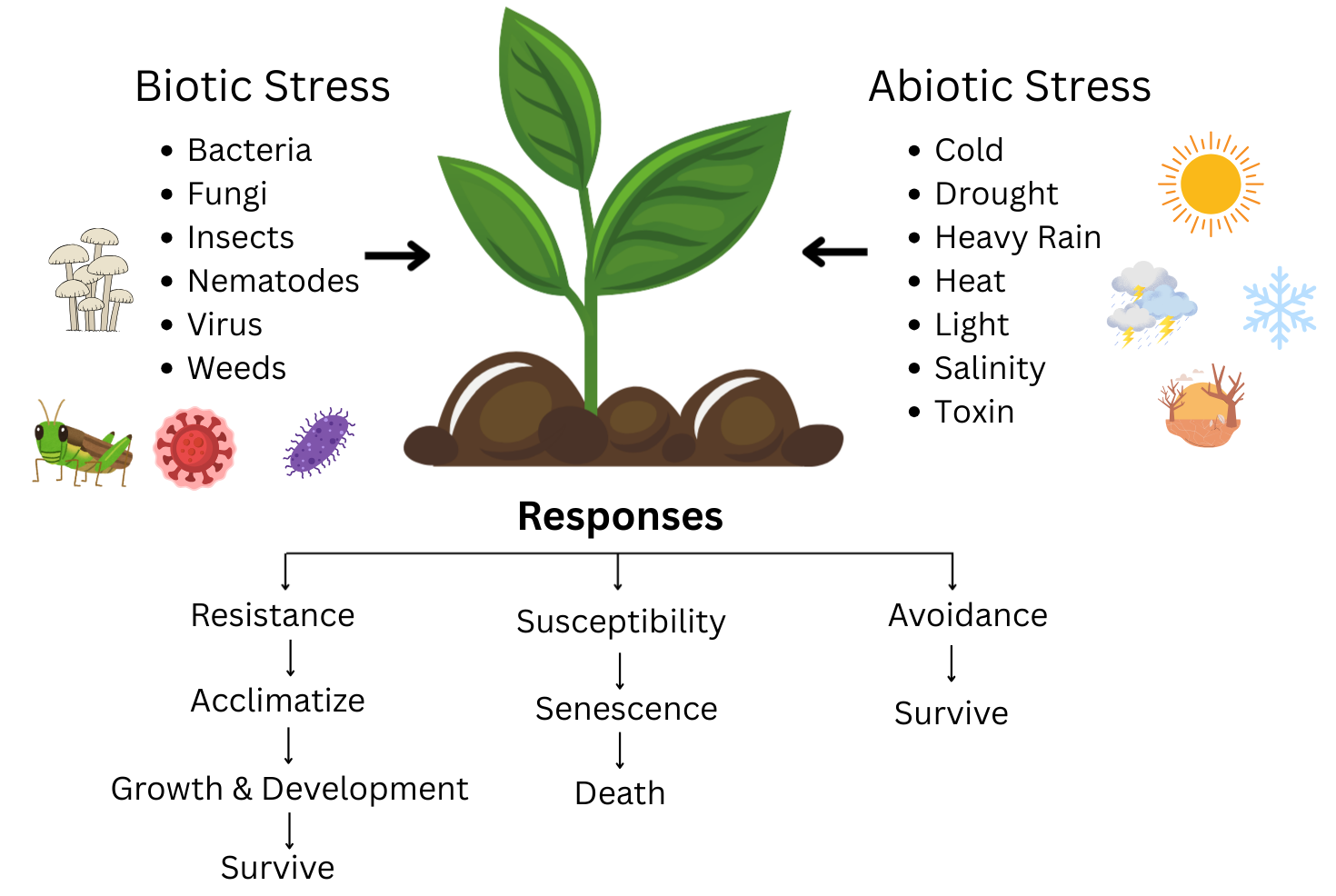 A-Biotic Stresses (1)